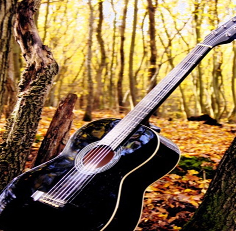 Black Acoustic Guitar — Serene, Autumn