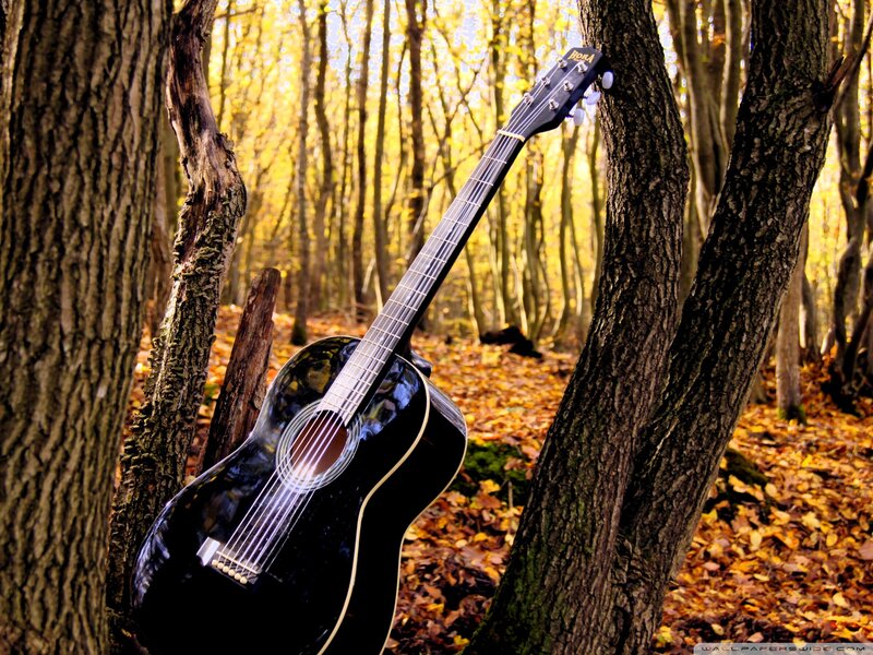 Black Acoustic Guitar — Serene