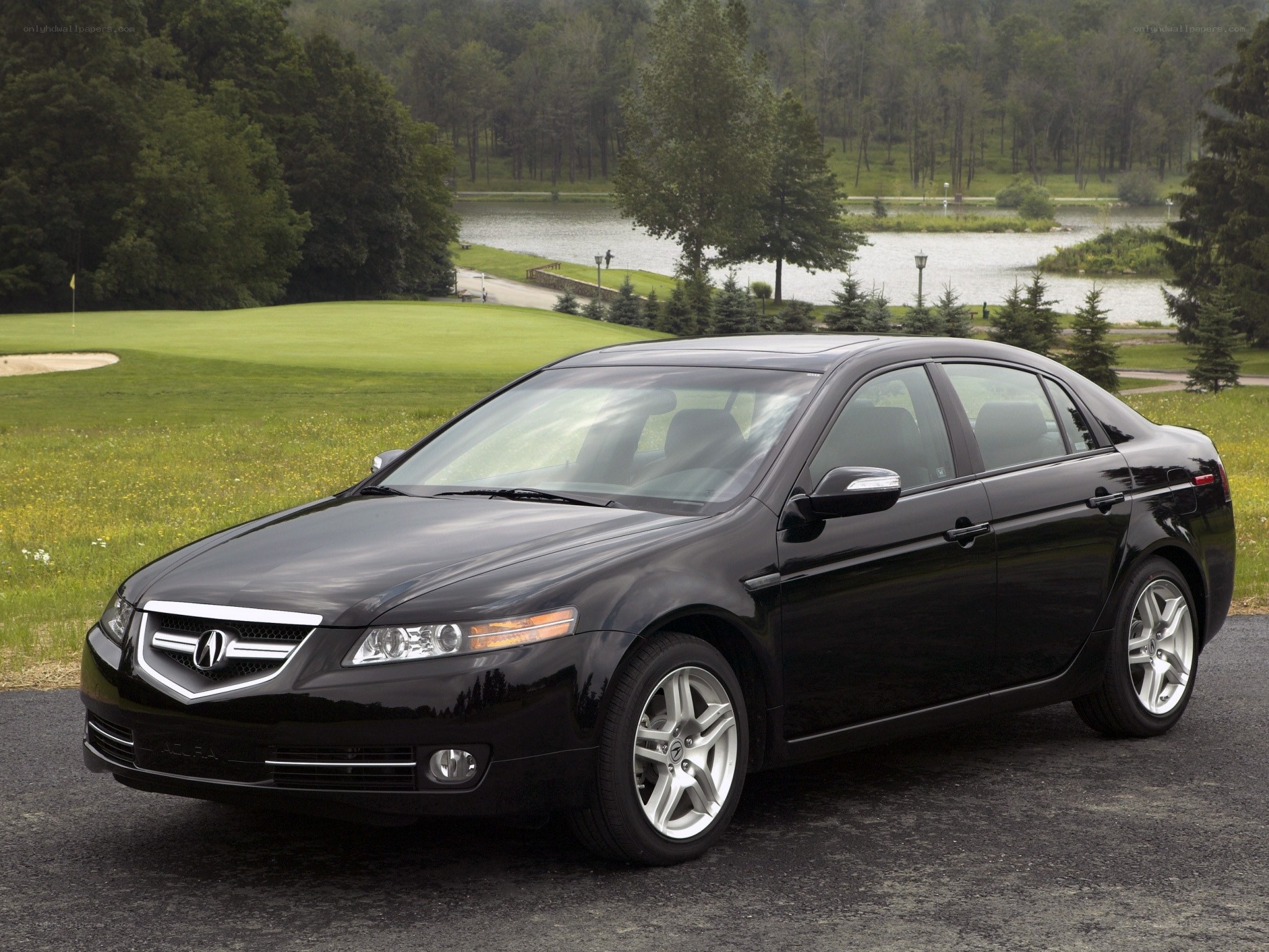 Black Acura TL on a golf course
