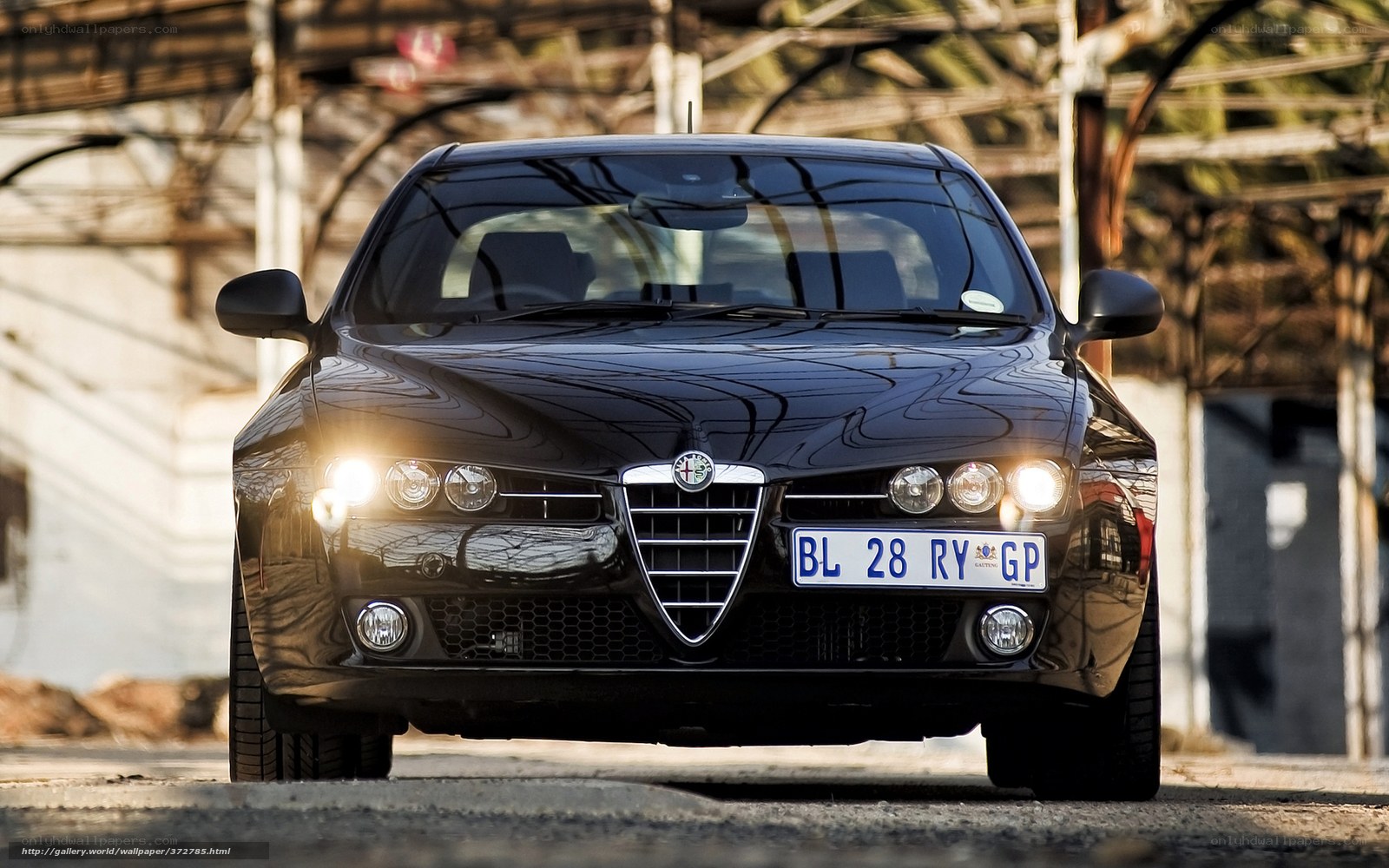 Black Alfa Romeo car