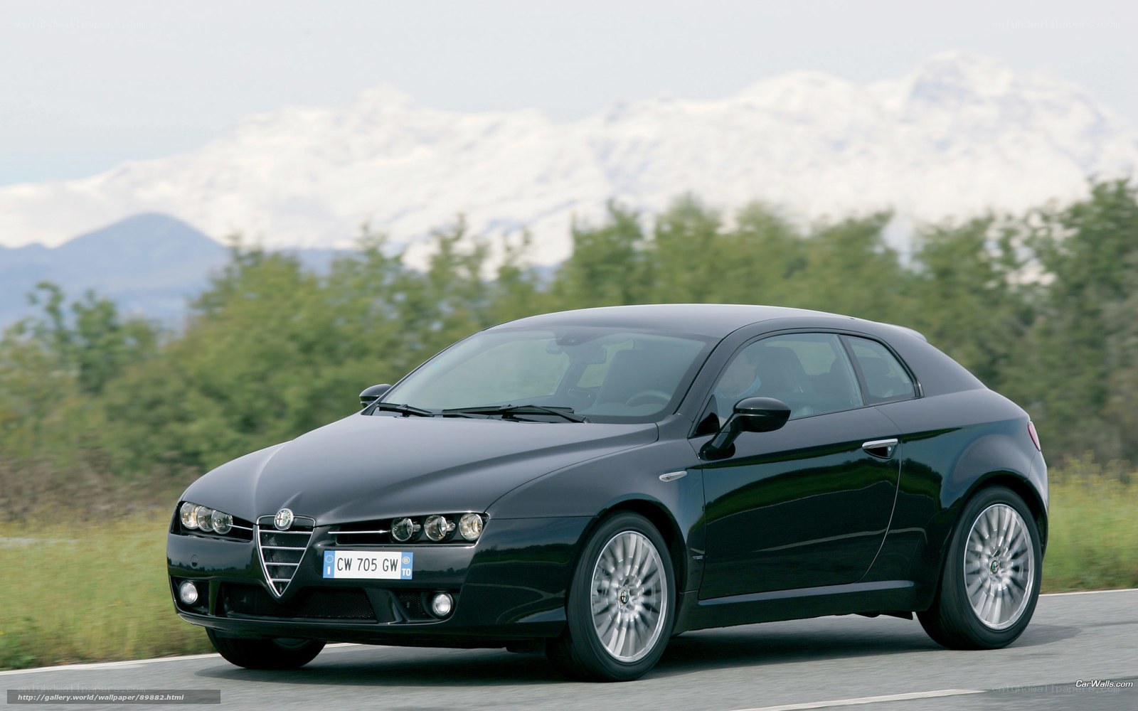 black alfa romeo on mountain road