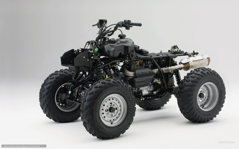 Black All-terrain Vehicle — Neutral, Photograph, Wheels