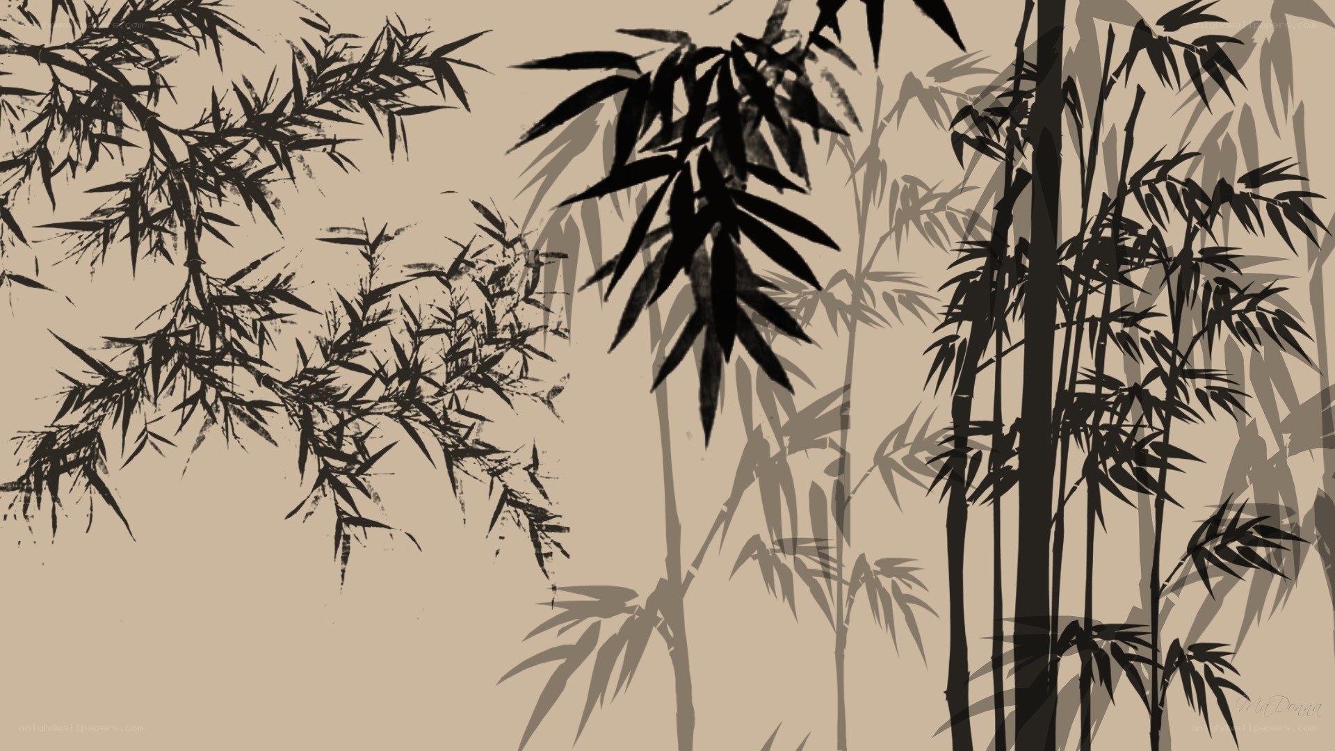 black and beige bamboo illustration