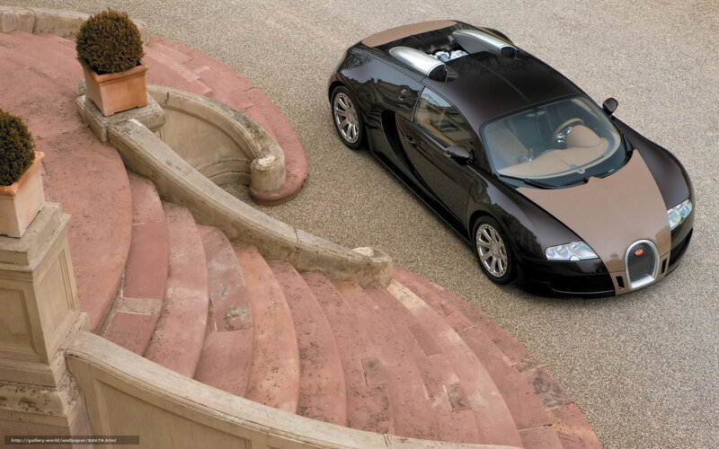 Black and Brown Car