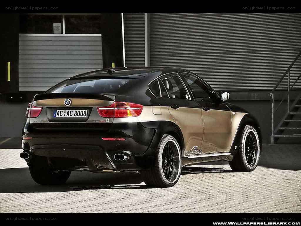 black and gold bmw x6