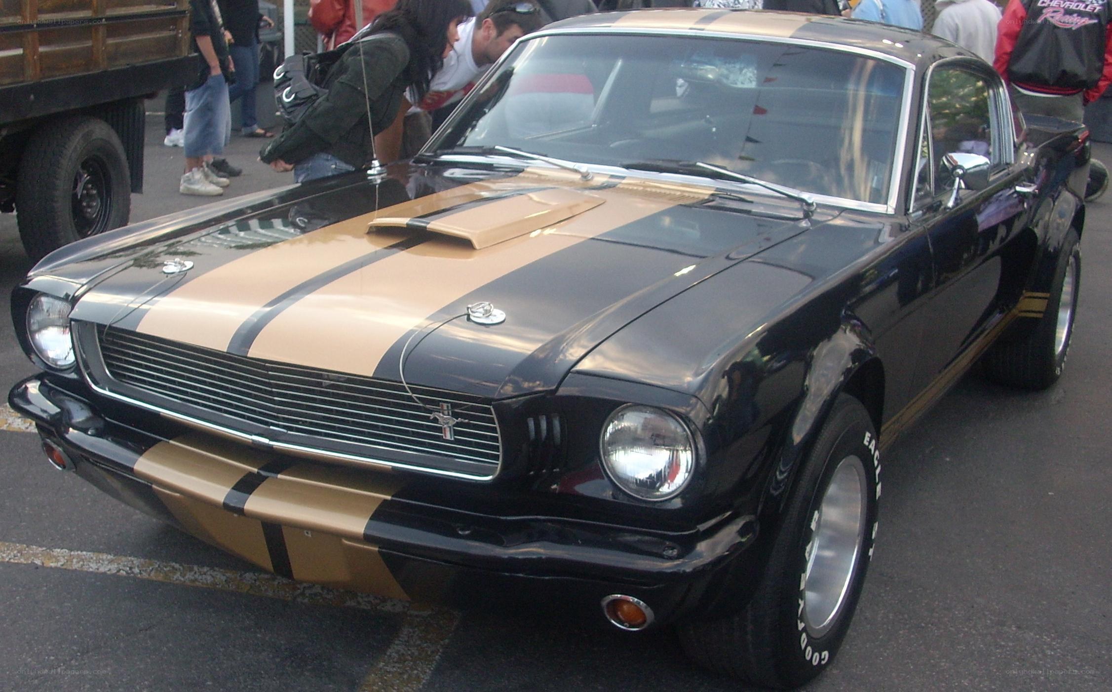 Black and gold classic Mustang
