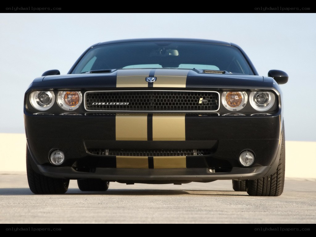Black and gold Dodge Challenger