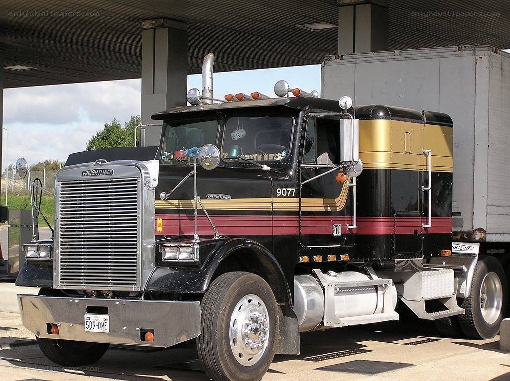 black and gold freightliner truck
