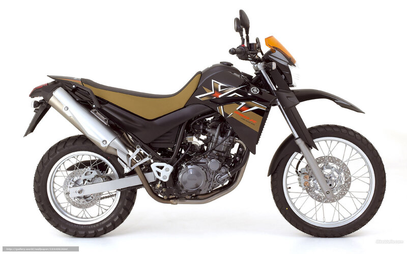 Black and Gold Motorcycle — Neutral, Photograph, Seat, Exhaust, Headlight