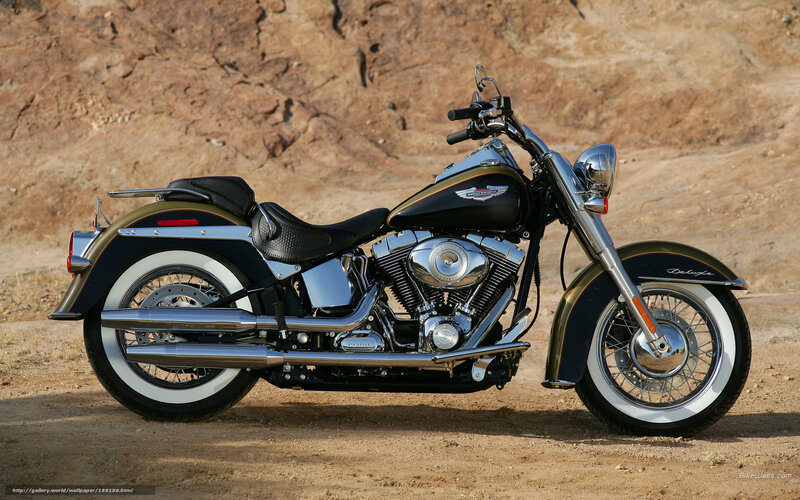 Black and Gold Motorcycle — Serene