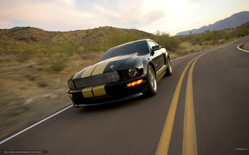 Black and Gold Mustang