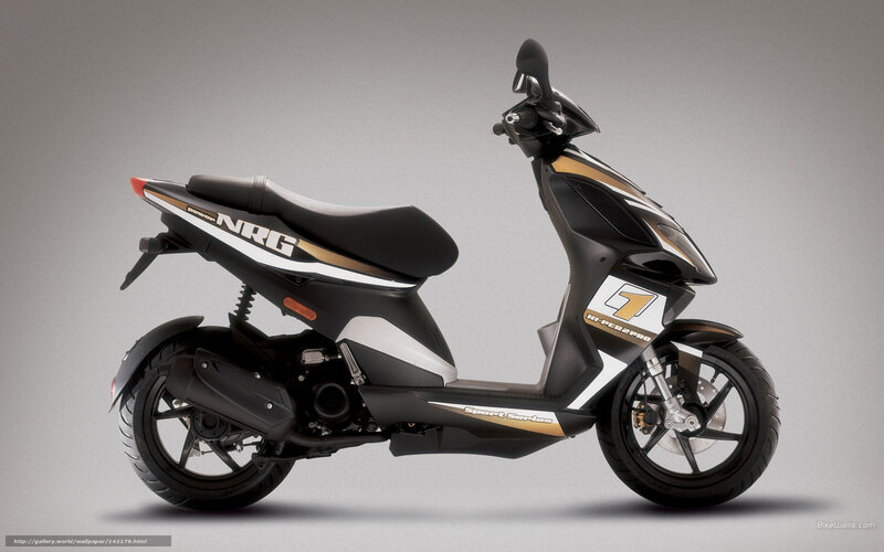 Black and Gold Scooter — Neutral, Photograph, Seat, Wheel
