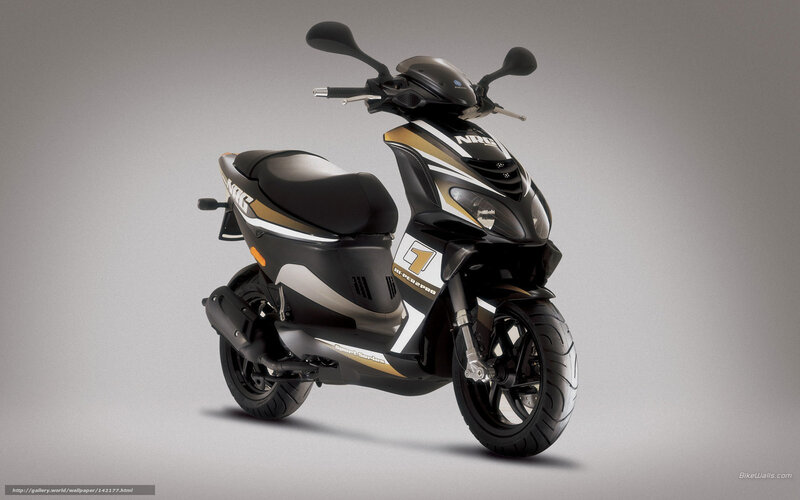 Black and Gold Scooter — Neutral, Photograph