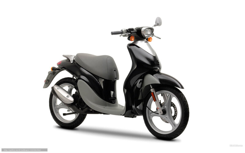 Black and Gray Scooter — Neutral, Photograph, Seat, Headlight, Exhaust