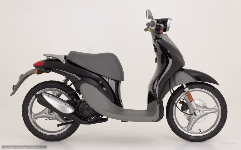 Black and Gray Scooter — Neutral, Photograph, Seat, Wheel, Exhaust
