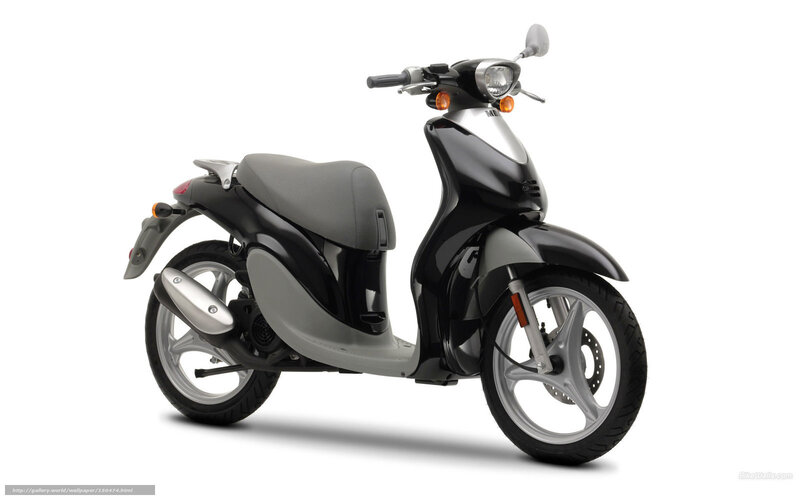 Black and Gray Scooter — Neutral, Photograph