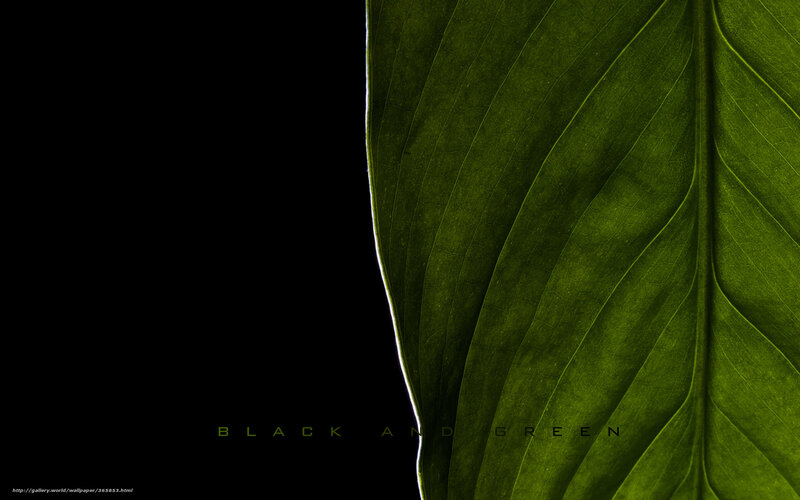 black and green leaf