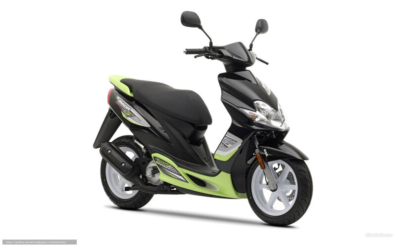 Black and Green Scooter — Neutral