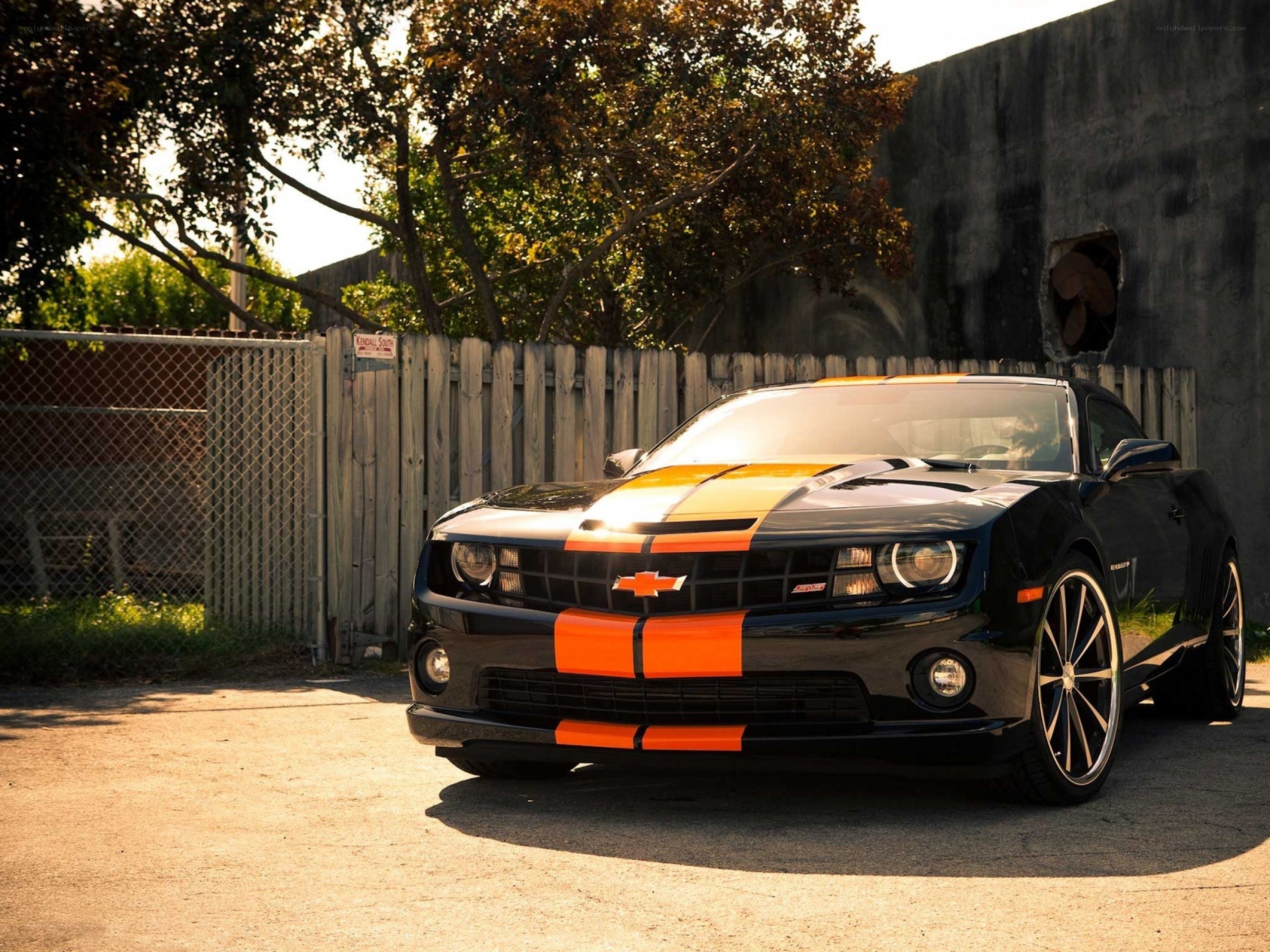 Black and orange Camaro