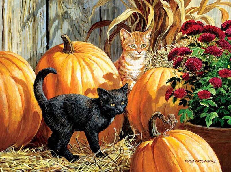Black and Orange Kittens