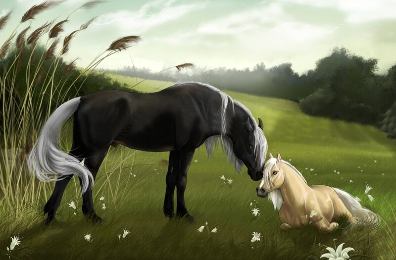 Black and Palomino Horses