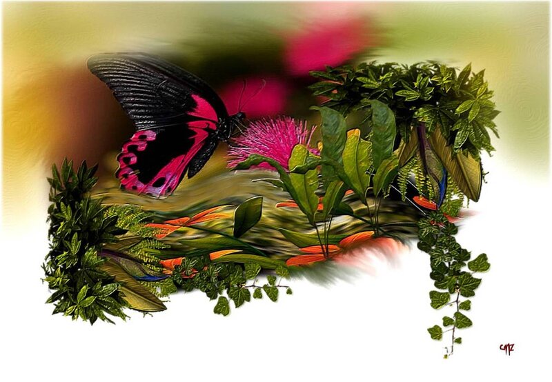 Black and Pink Butterfly — Green