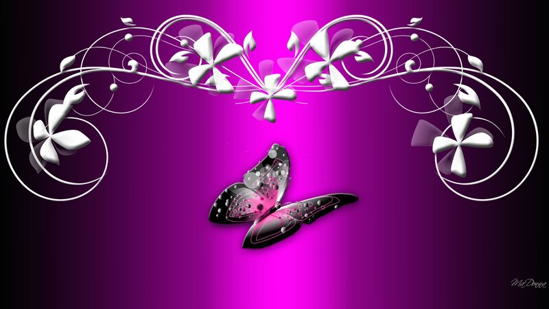 Black and Pink Butterfly