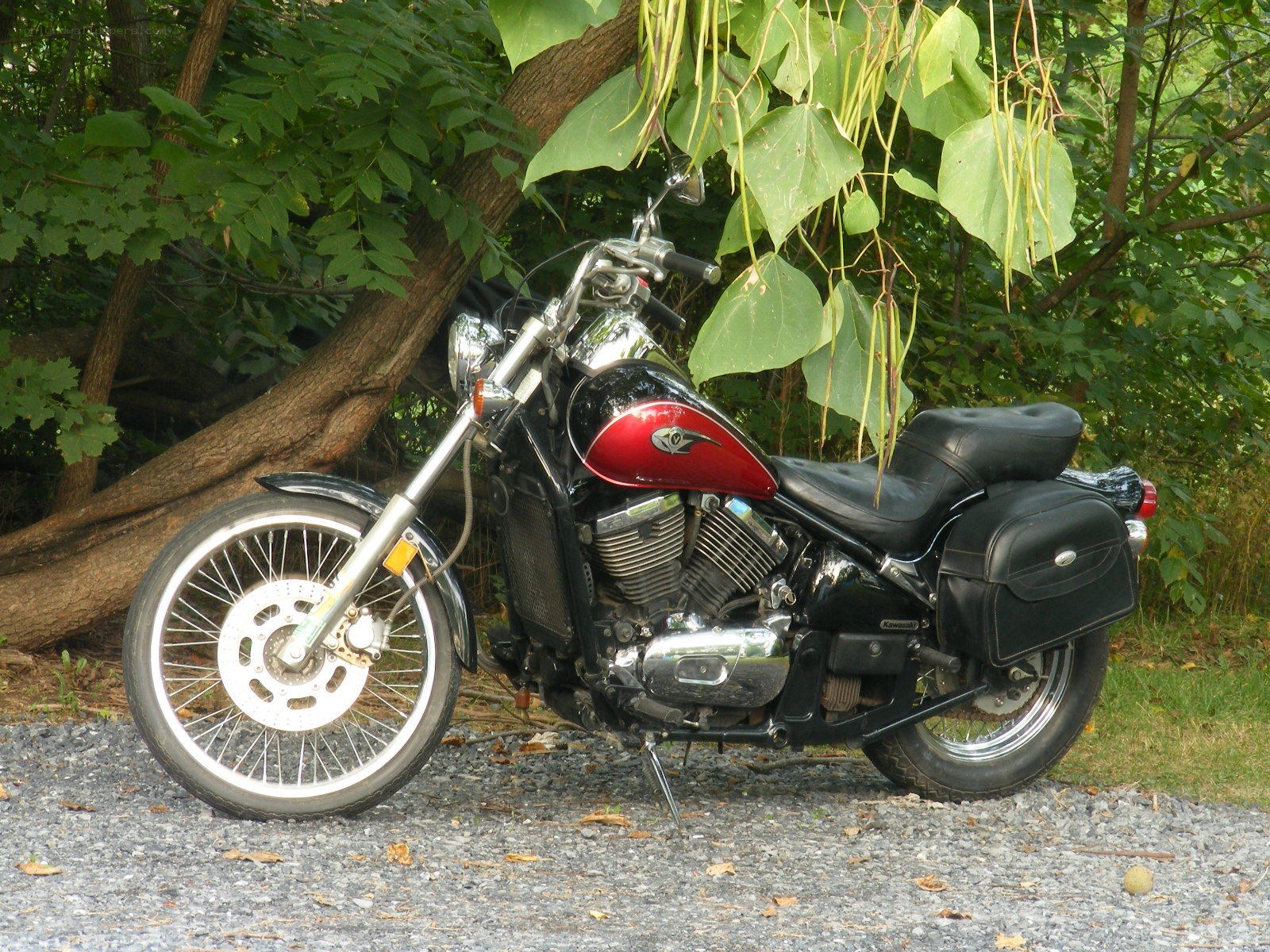 black and red motorcycle in forest