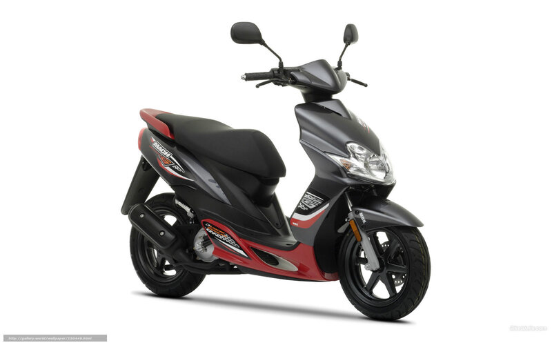 Black and Red Scooter — Neutral, Photograph, Seat, Headlight
