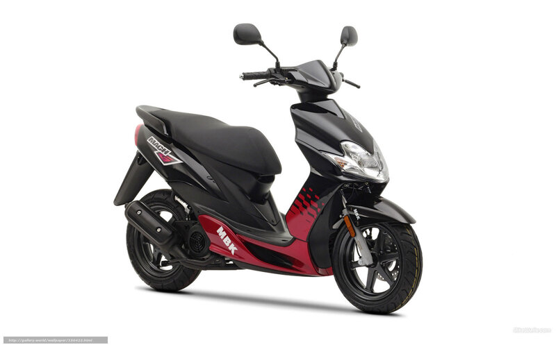 Black and Red Scooter — Neutral