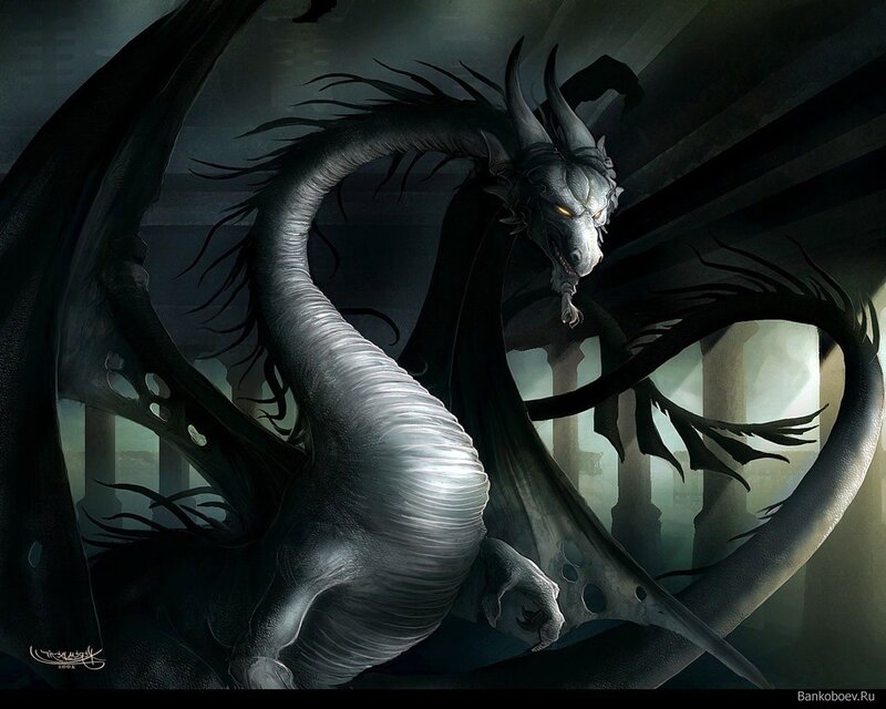 Black and Silver Dragon