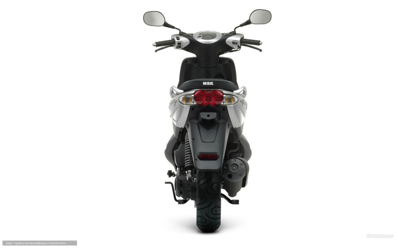 Black and Silver Scooter — Neutral, Photograph, Rear View