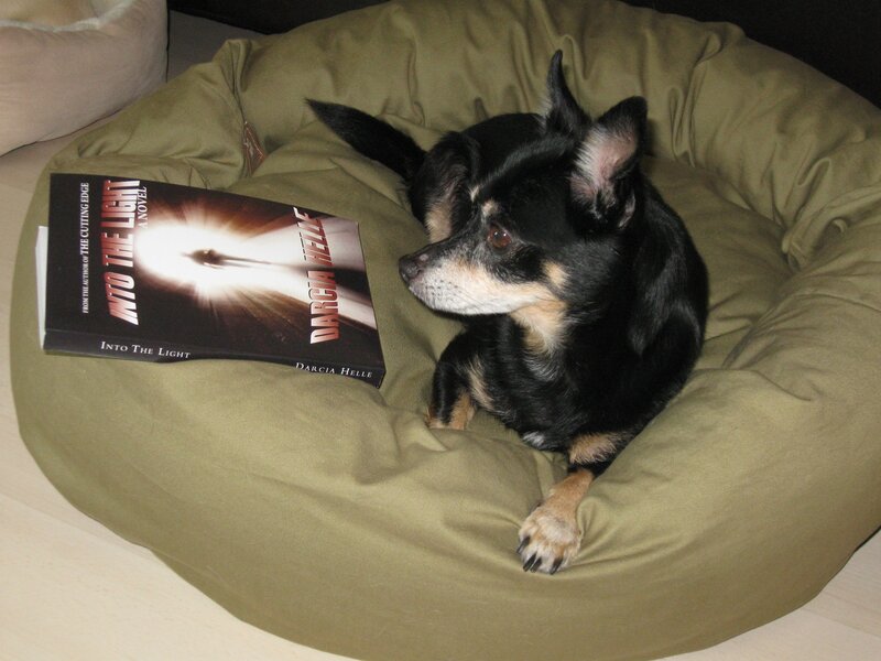 Black and Tan Dog — Green, Calm, Night