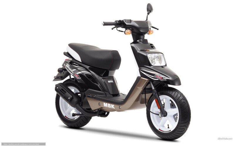Black and Tan Scooter — Neutral, Photograph