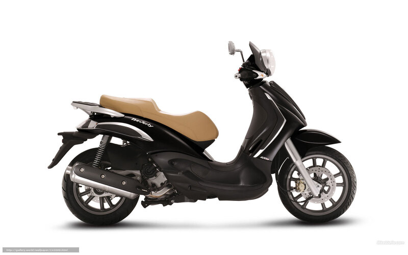 Black and Tan Scooter — Neutral