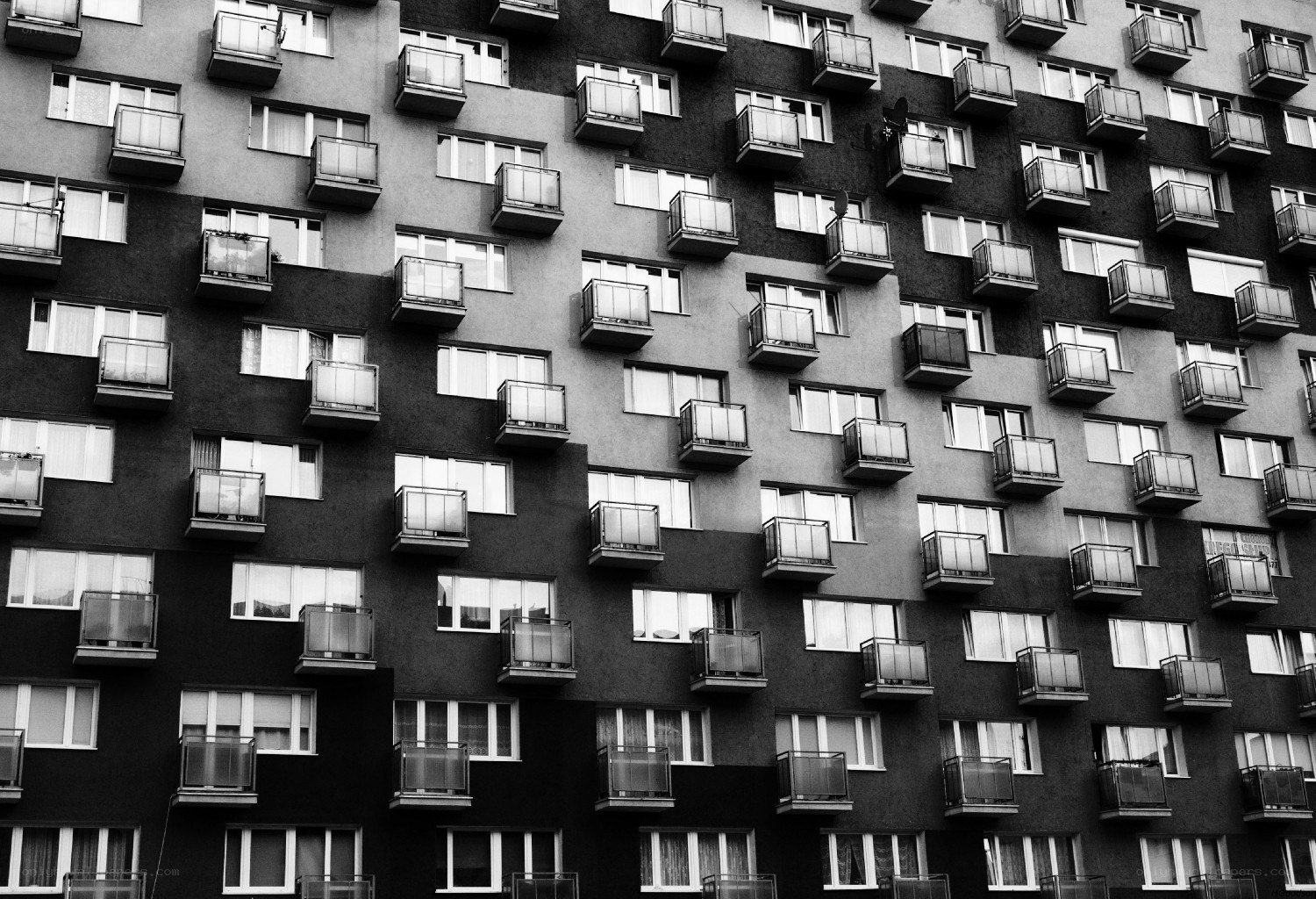 black and white apartment building
