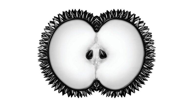 black and white apple cross-section
