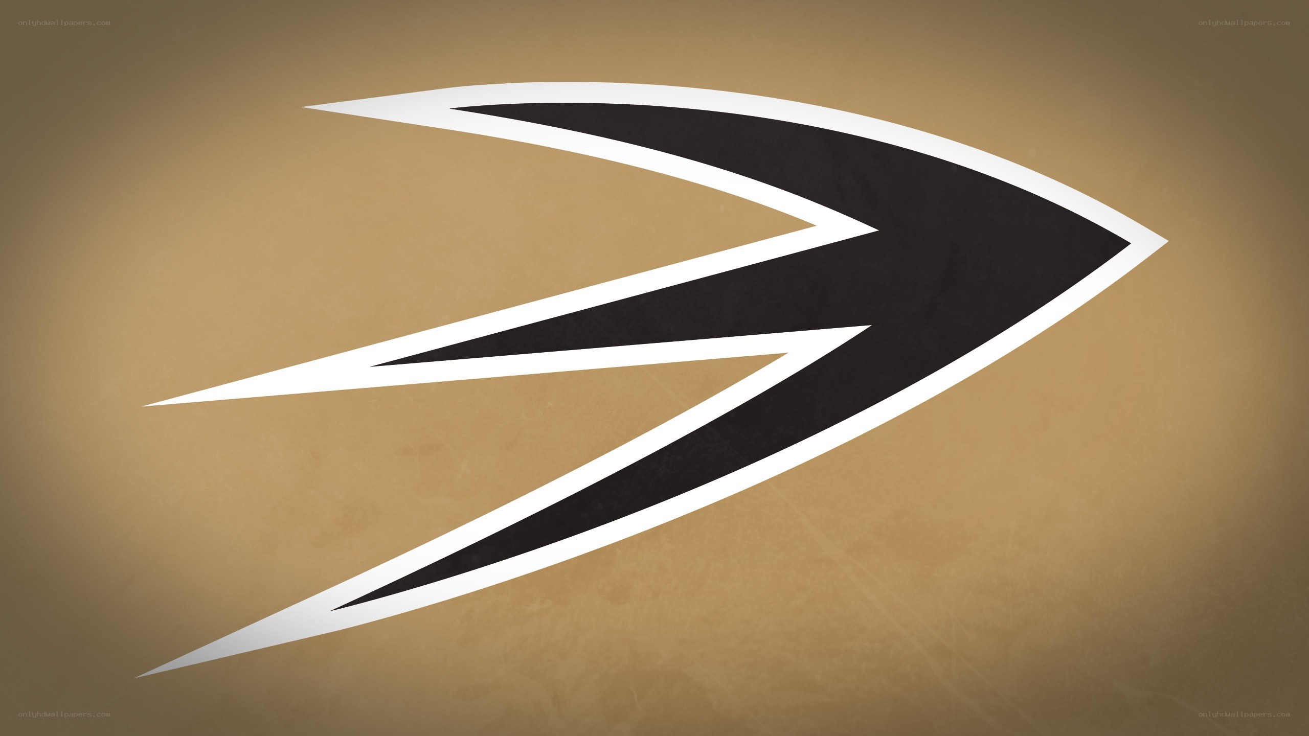 black and white arrow logo