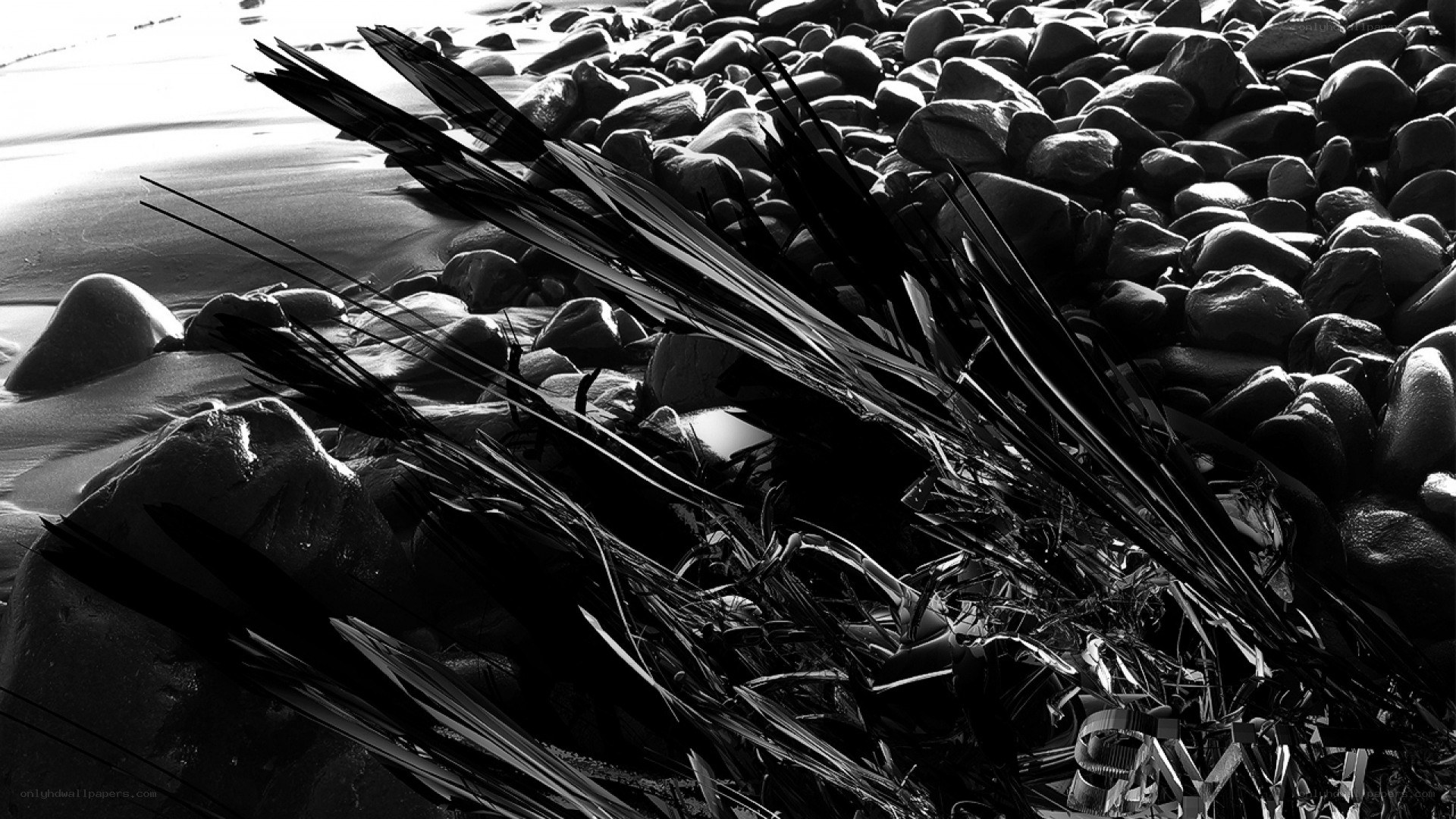 Black and white beach rocks