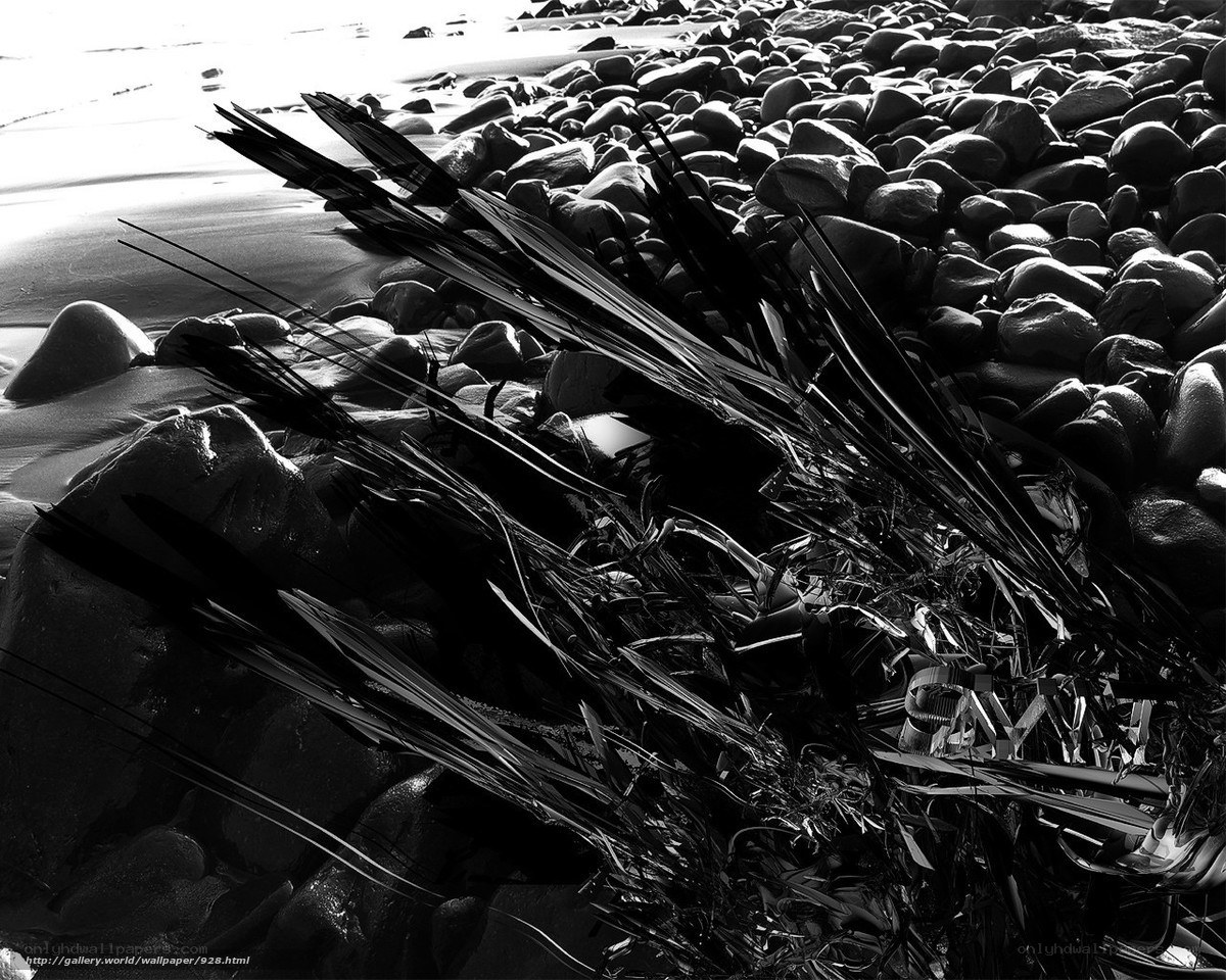 Black and white beach rocks