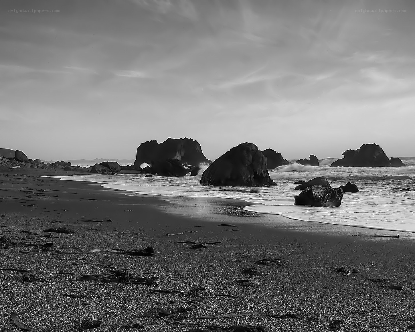 Black and white beach scene