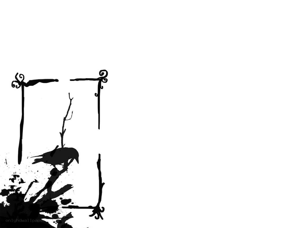 black and white bird illustration