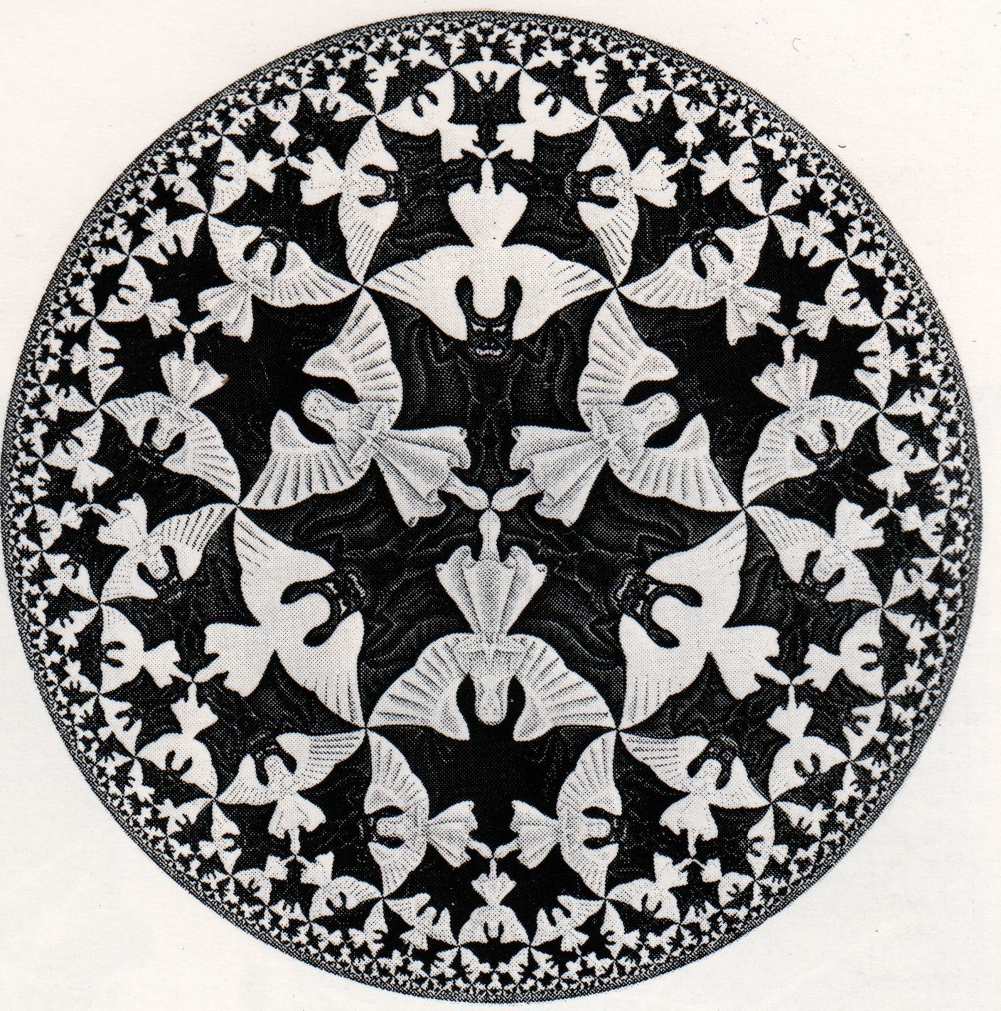 Black and white bird mandala