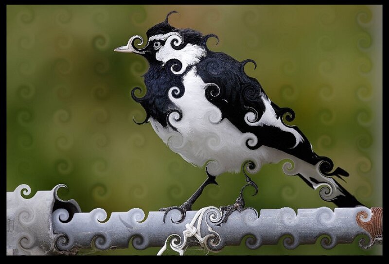 Black and White Bird — Whimsical