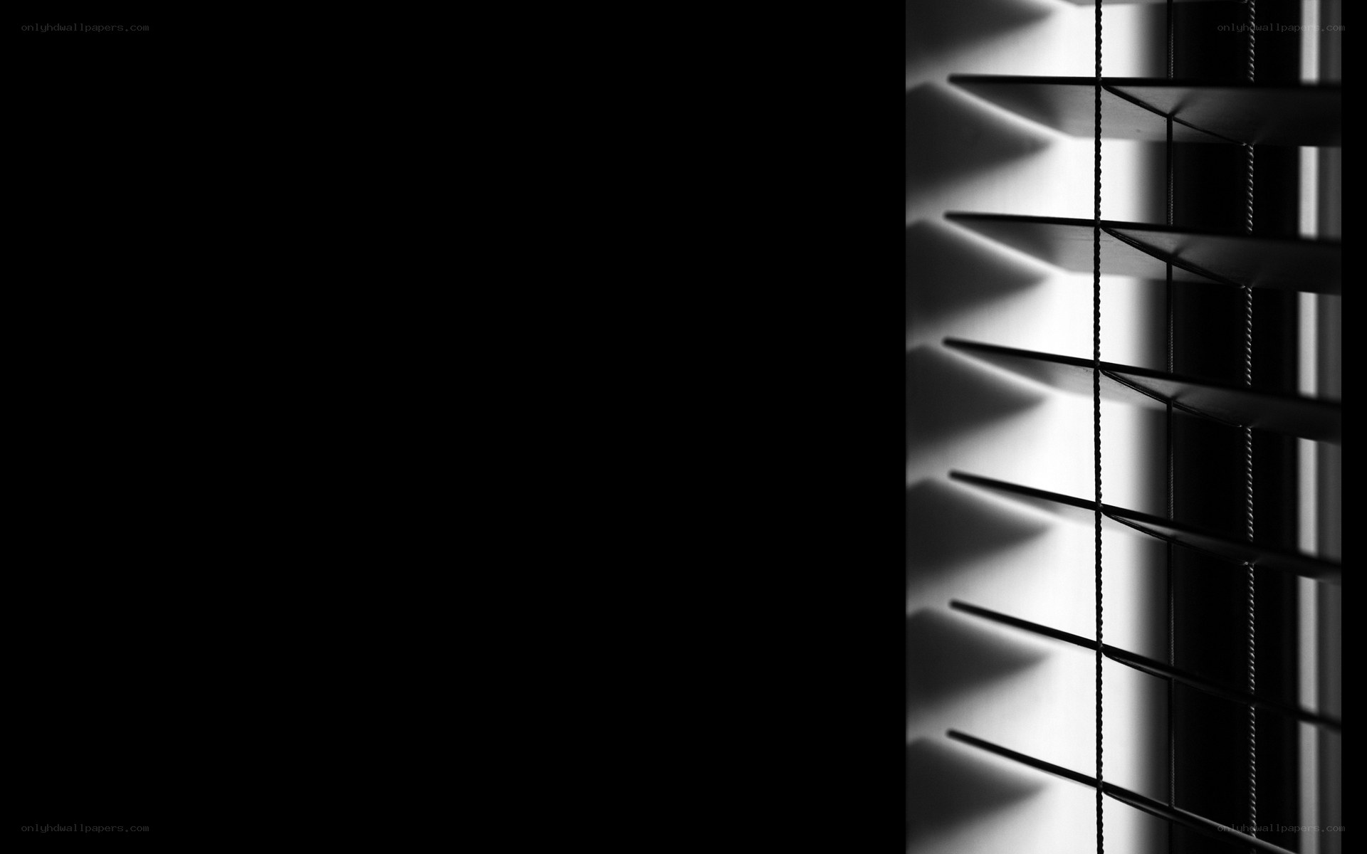 black and white blinds