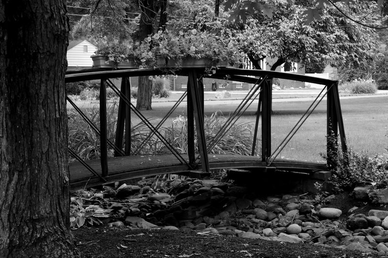 Black-and-white Bridge