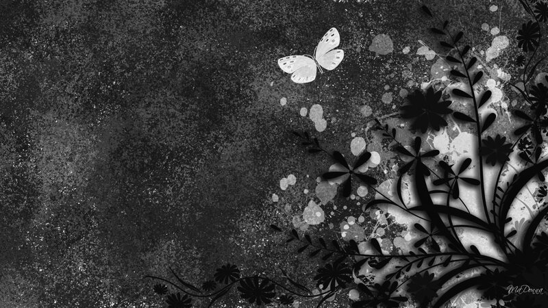 black and white butterfly wallpaper