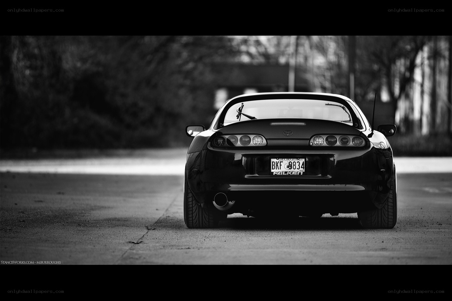 black and white car rear view