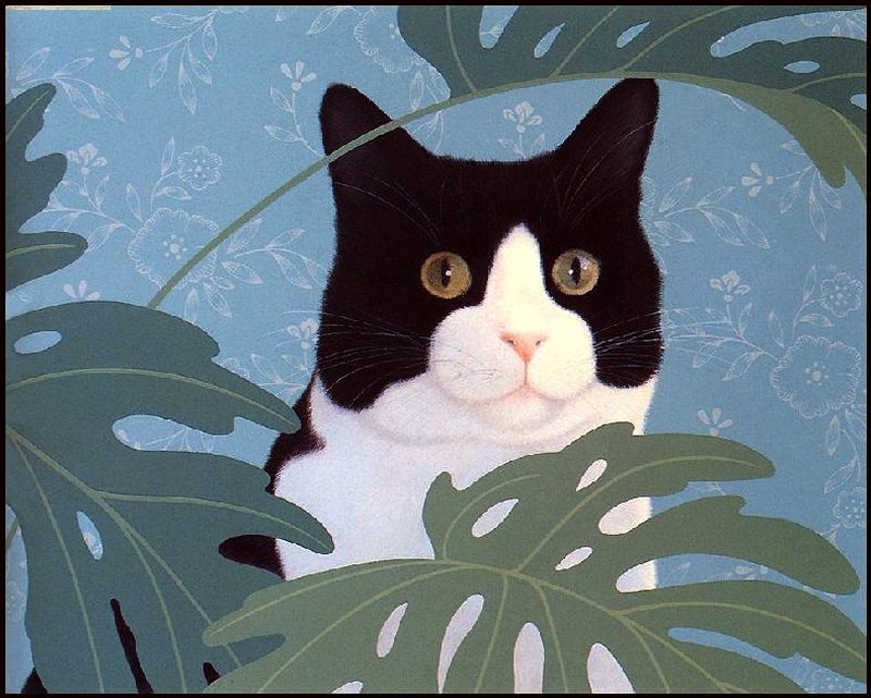 Black and White Cat — Blue, Calm, Illustration