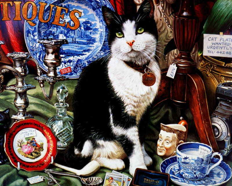 Black and White Cat — Blue, Curious, Illustration